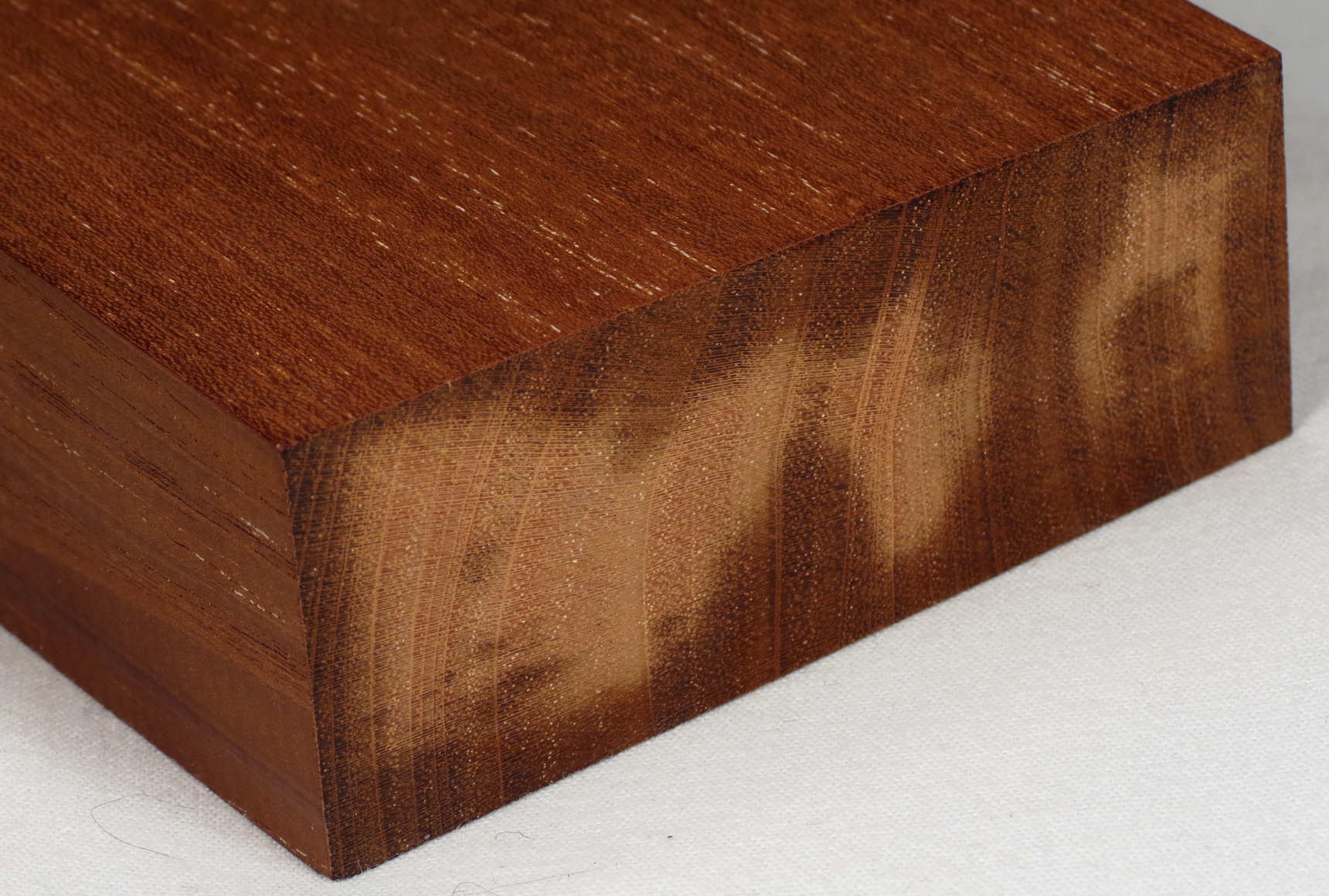 mahogany, misc (swietenia) 1 end grain s50 plh.jpg